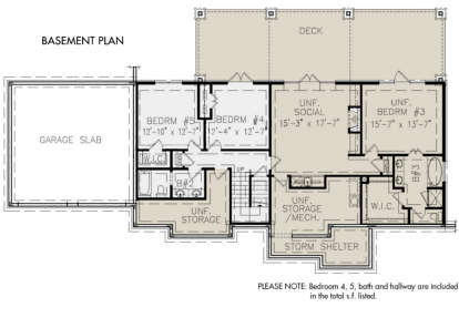 Basement for House Plan #699-00252