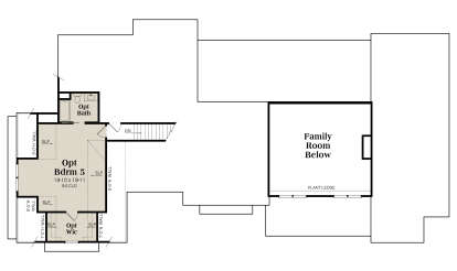Optional second floor plan drawing with 1BR, 1BA, WIC, stairs, and open-to-below family room with plant ledge. House Plan # 009-00542